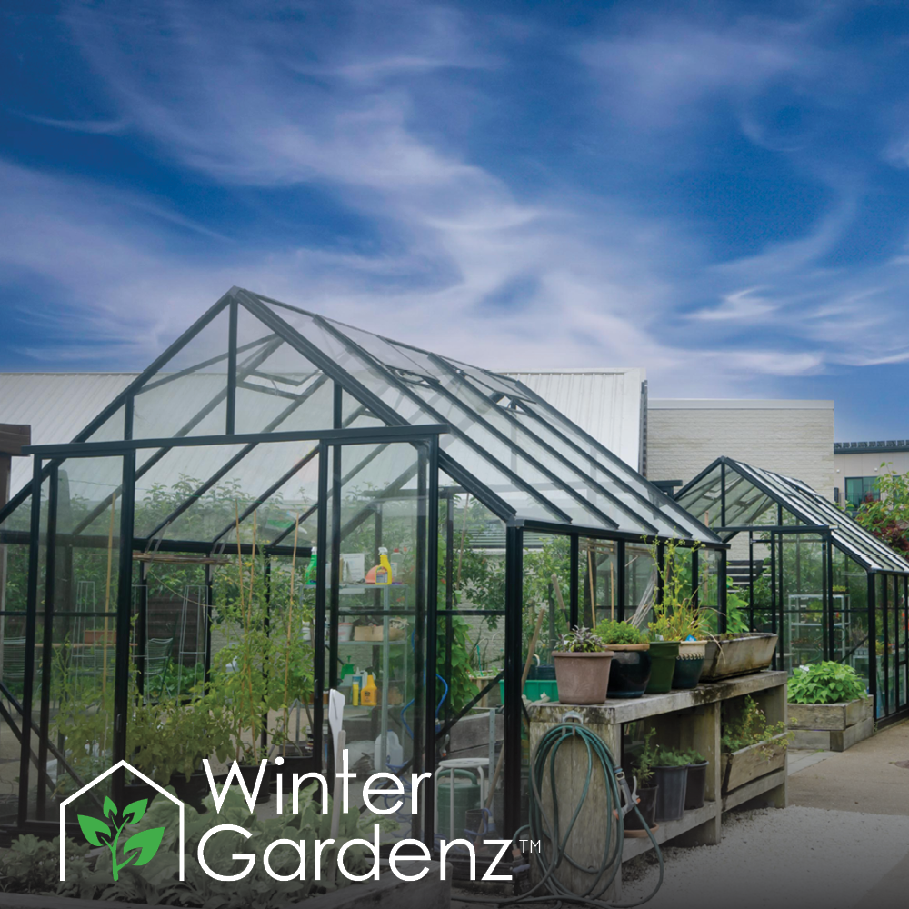 10x10ft (3.2x3.2m) Glasshouse 4mm Toughened Glass