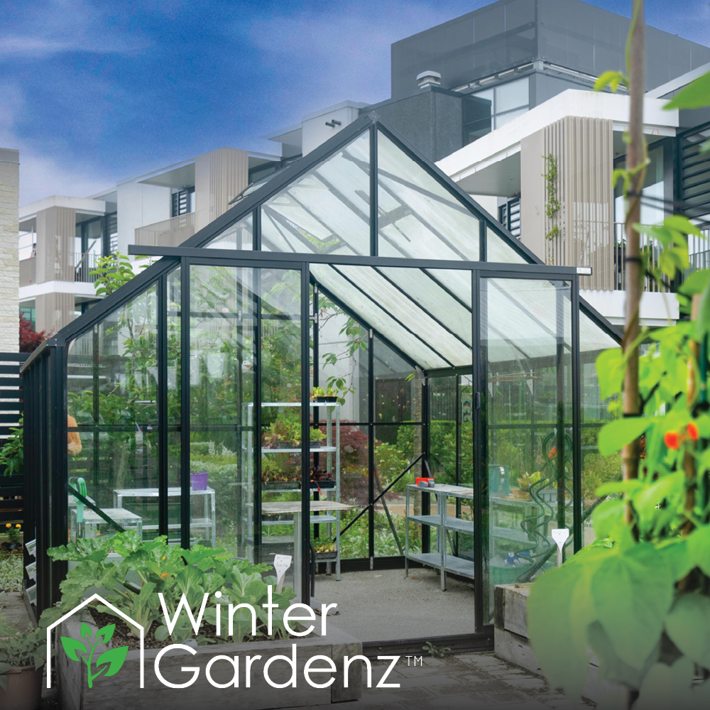 10x10ft (3.2x3.2m) Glasshouse 4mm Toughened Glass