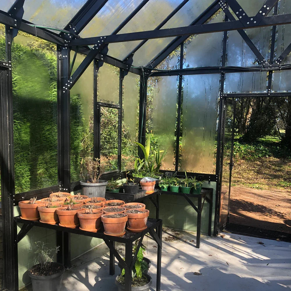 12x20ft (3.8x6.4m) Elite Glasshouse - wintergardenz.co.nz