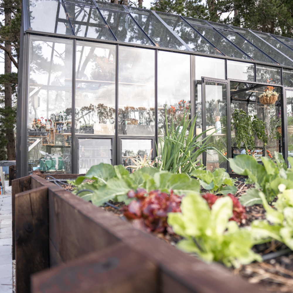 12x24ft (3.8x7.7m) Greenhouse