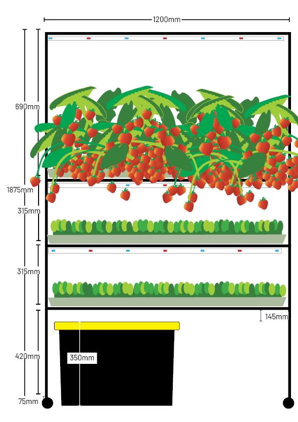 microFARM