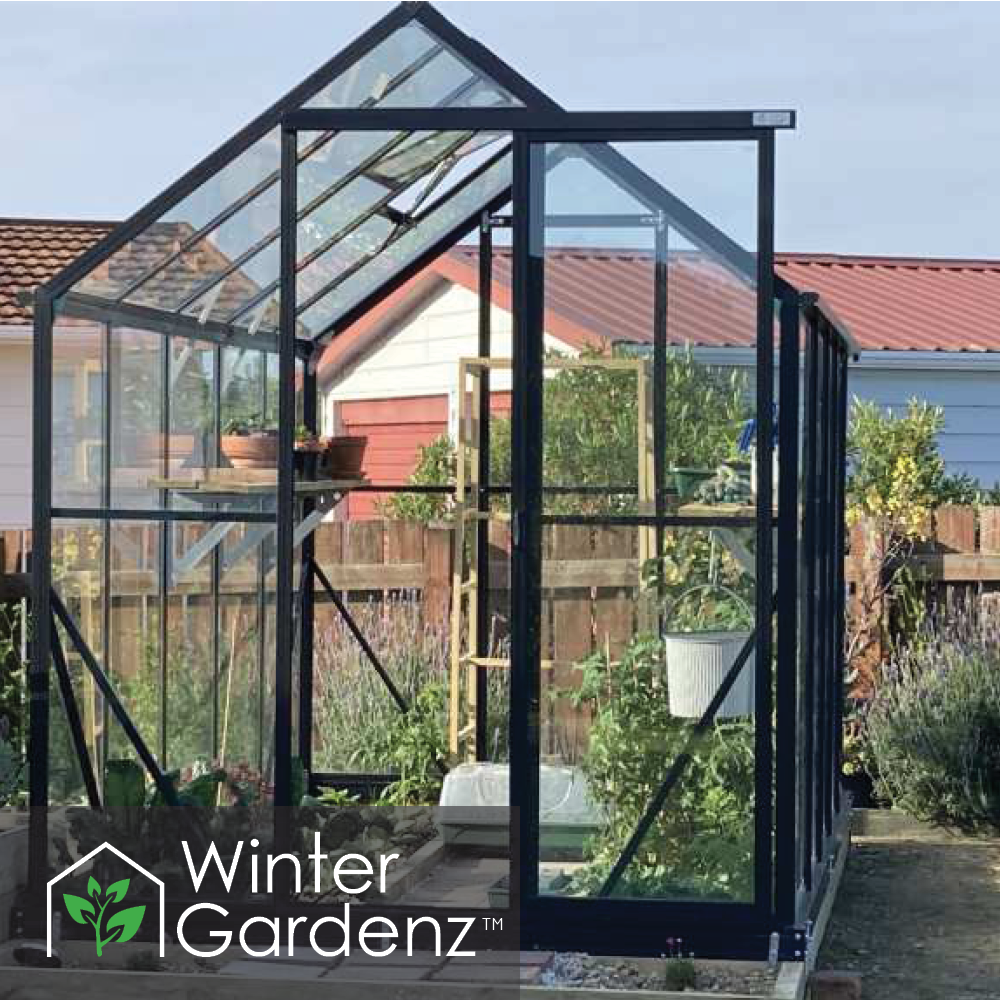 6x10ft (2x3.2m) Glasshouse 4mm Toughened Glass