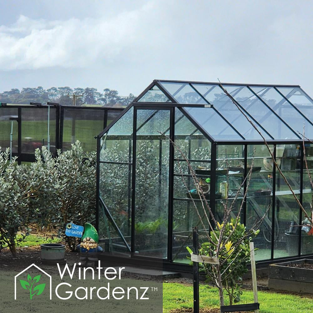 6x10ft (2x3.2m) Glasshouse 4mm Toughened Glass