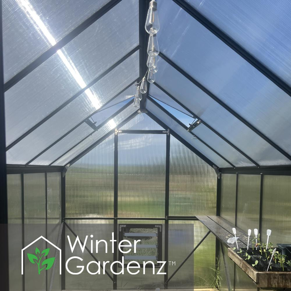 6x10ft (2x3.2m) Greenhouse 6mm Polycarbonate