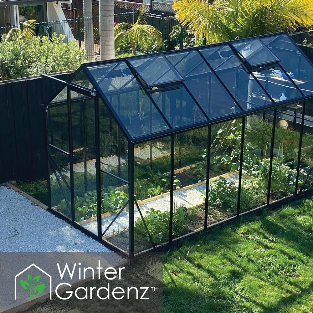 6x12ft (2x3.8m) Glasshouse 4mm Toughened Glass