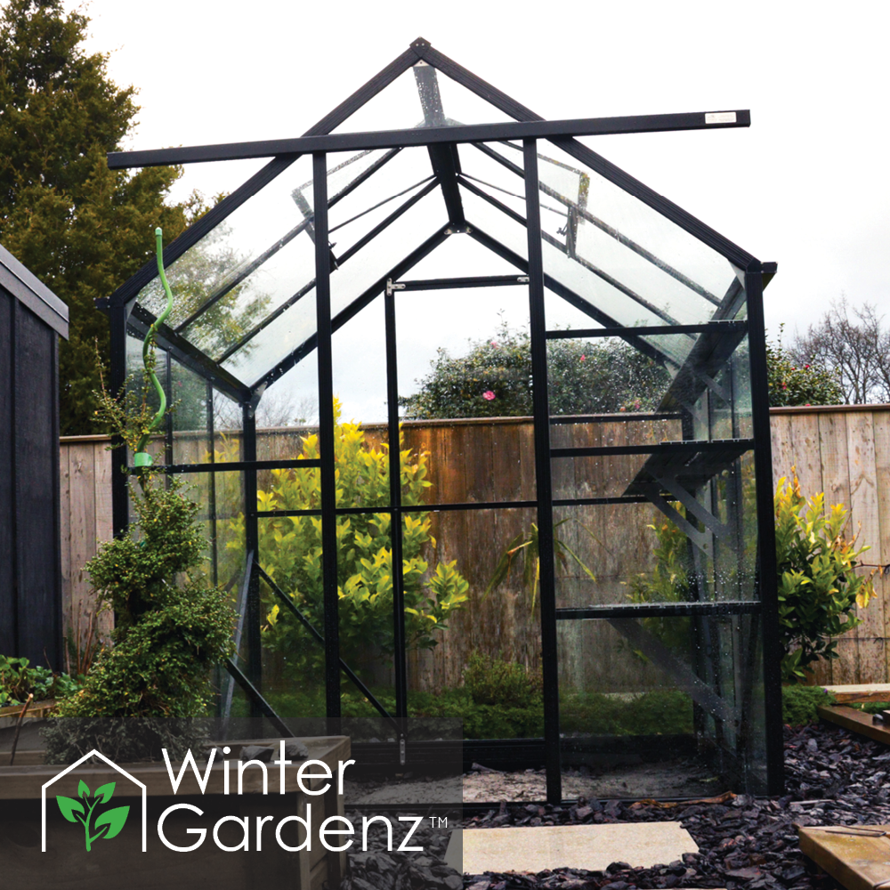 6x6ft (2x2m) Glasshouse with 4mm Toughened Glass