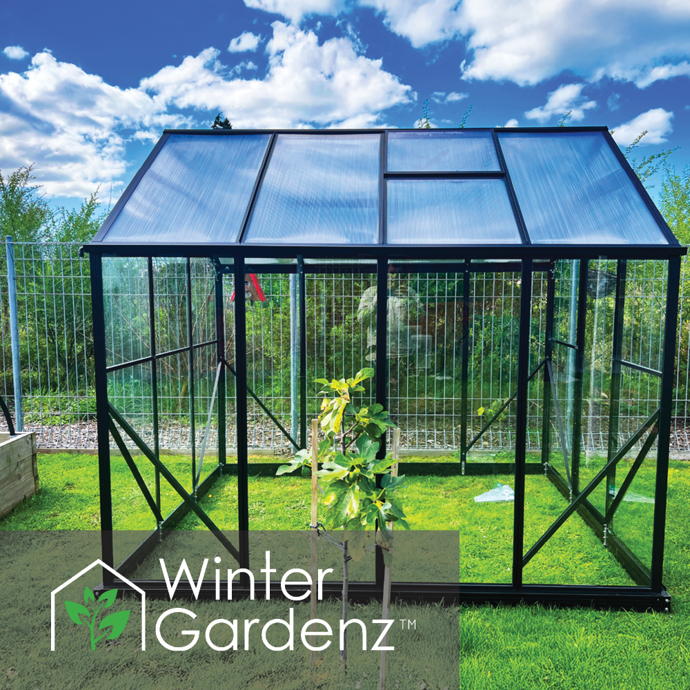 6x8ft (2x2.6m) Glasshouse 4mm Toughened Glass