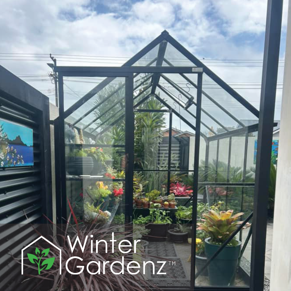 6x8ft (2x2.6m) Glasshouse 4mm Toughened Glass