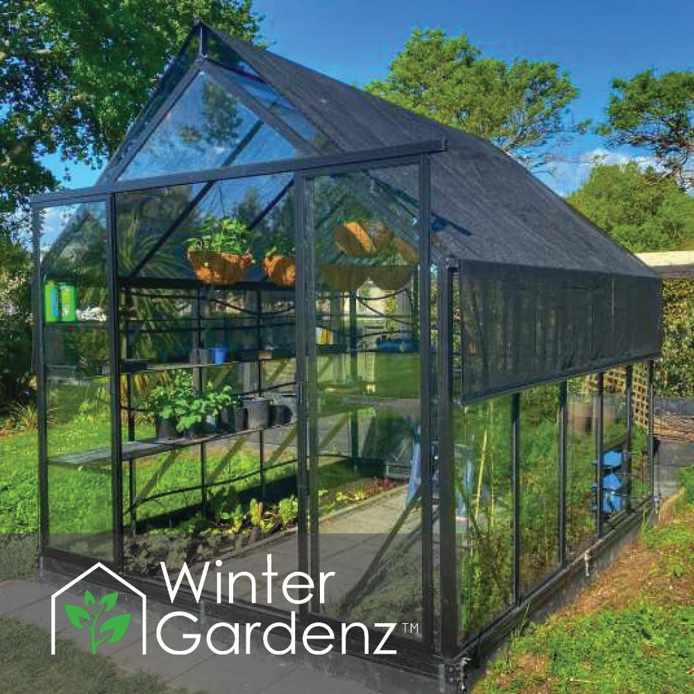 8x10ft (2.6x3.2m) Glasshouse 4mm Toughened Glass