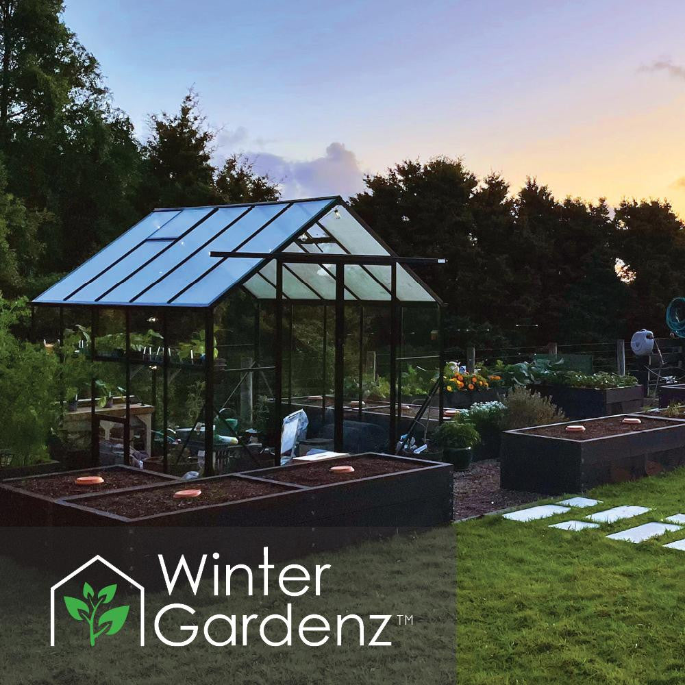 8x10ft (2.6x3.2m) Glasshouse 4mm Toughened Glass