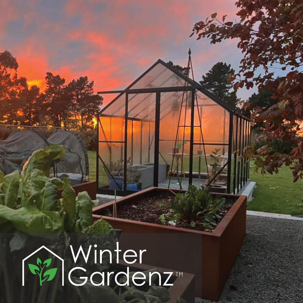 8x12ft (2.6x3.8m) Glasshouse 4mm Toughened Glass