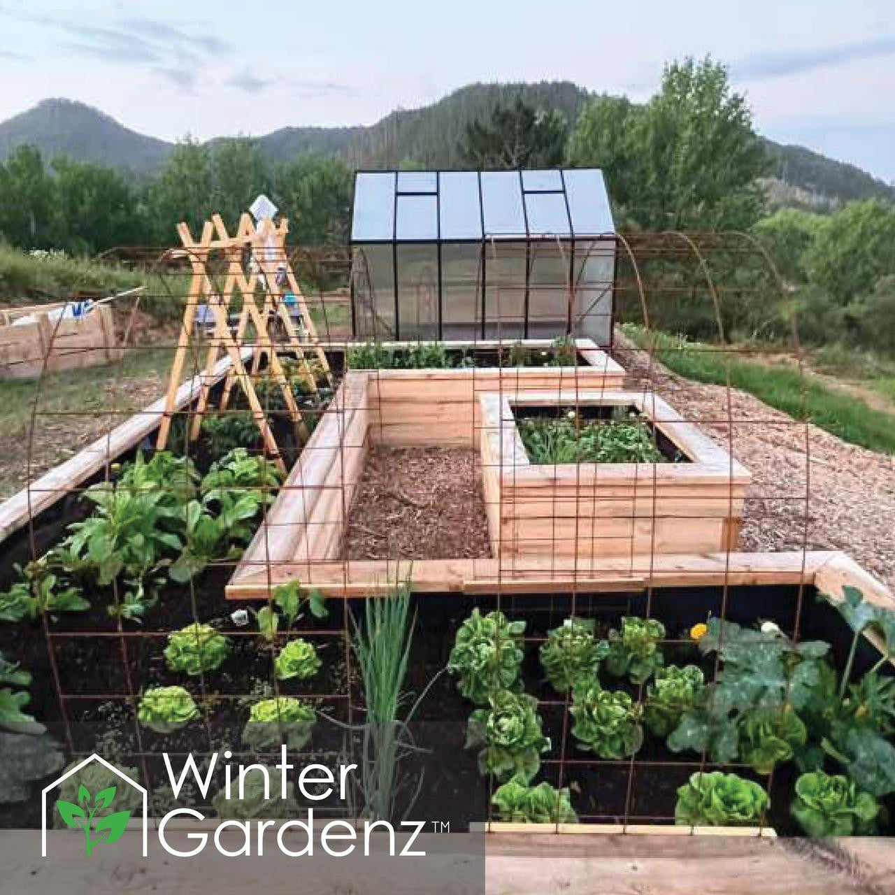 8x12ft (2.6x3.8m) Greenhouse 6mm Polycarbonate