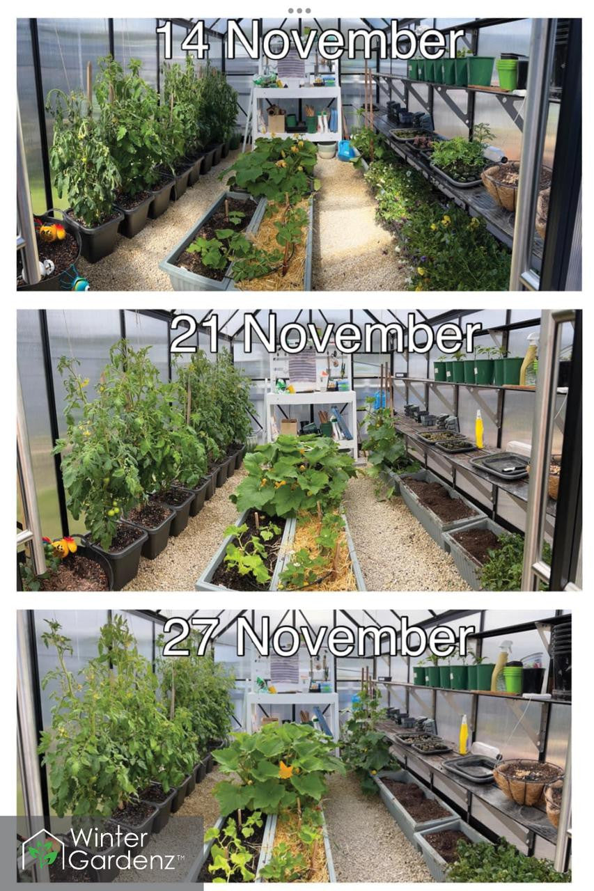8x12ft (2.6x3.8m) Greenhouse 6mm Polycarbonate