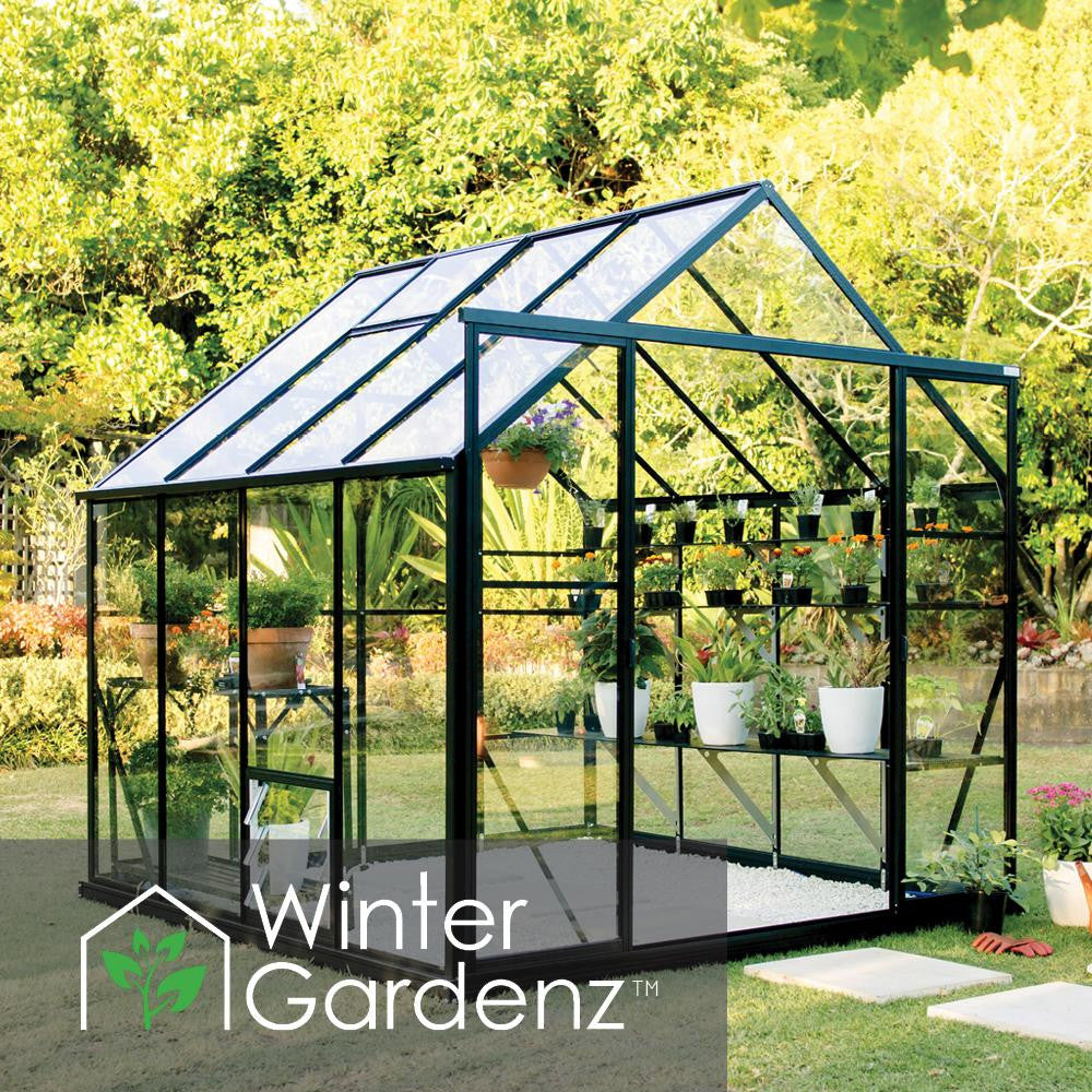 8x8ft (2.6x2.6m) Glasshouse 4mm Toughened Glass