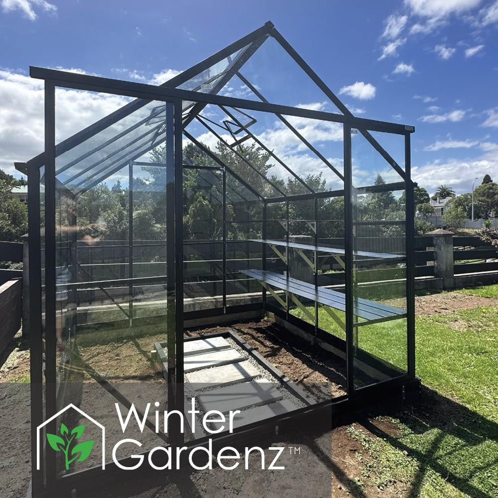 8x8ft (2.6x2.6m) Glasshouse 4mm Toughened Glass