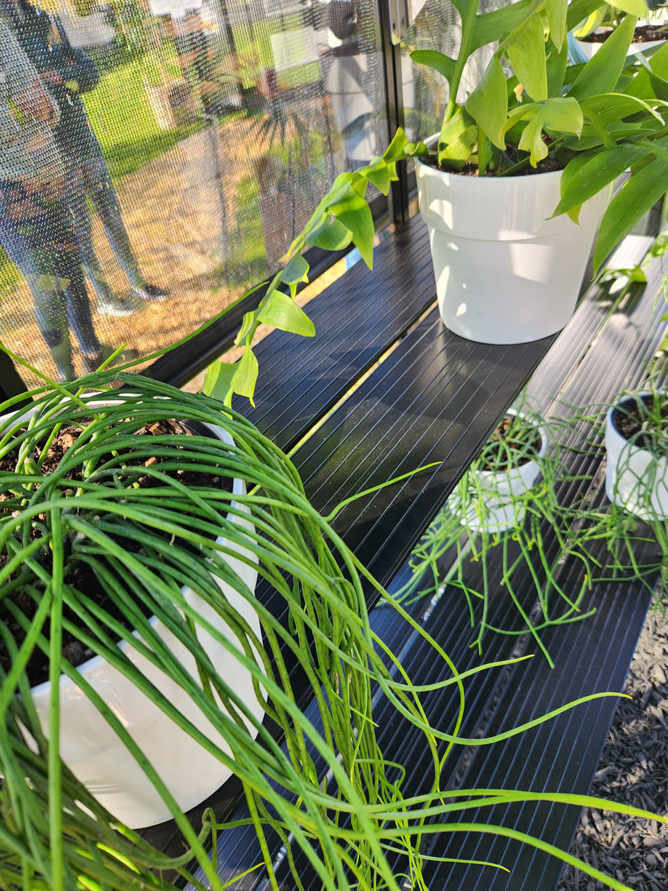 3-Tier Shelving