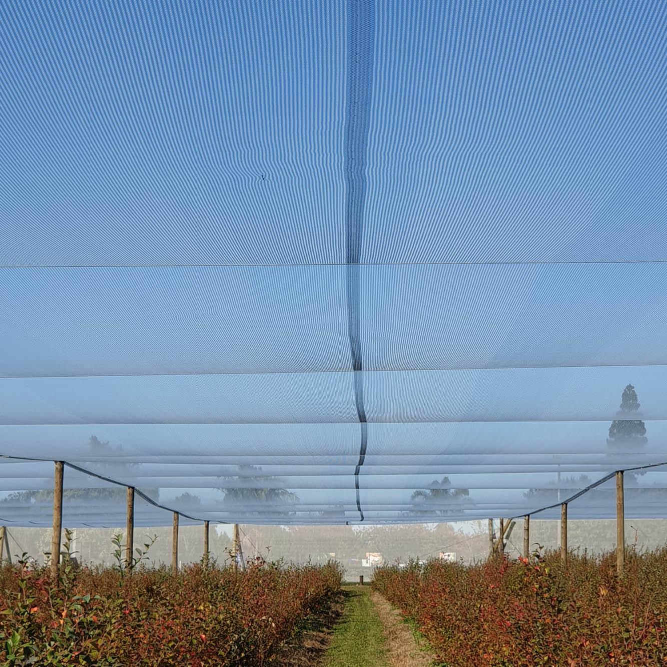 Ultra-pro Canopy Netting - Bee Friendly - wintergardenz.co.nz