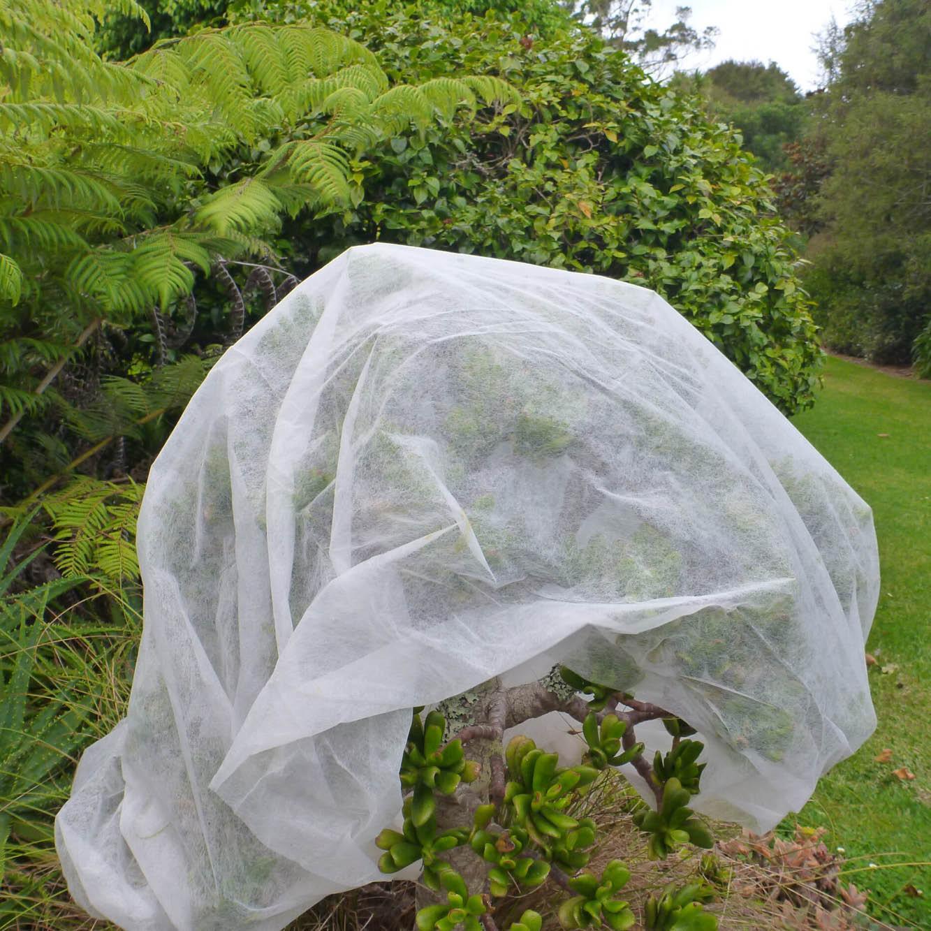 Frost Guard - various sizes - wintergardenz.co.nz