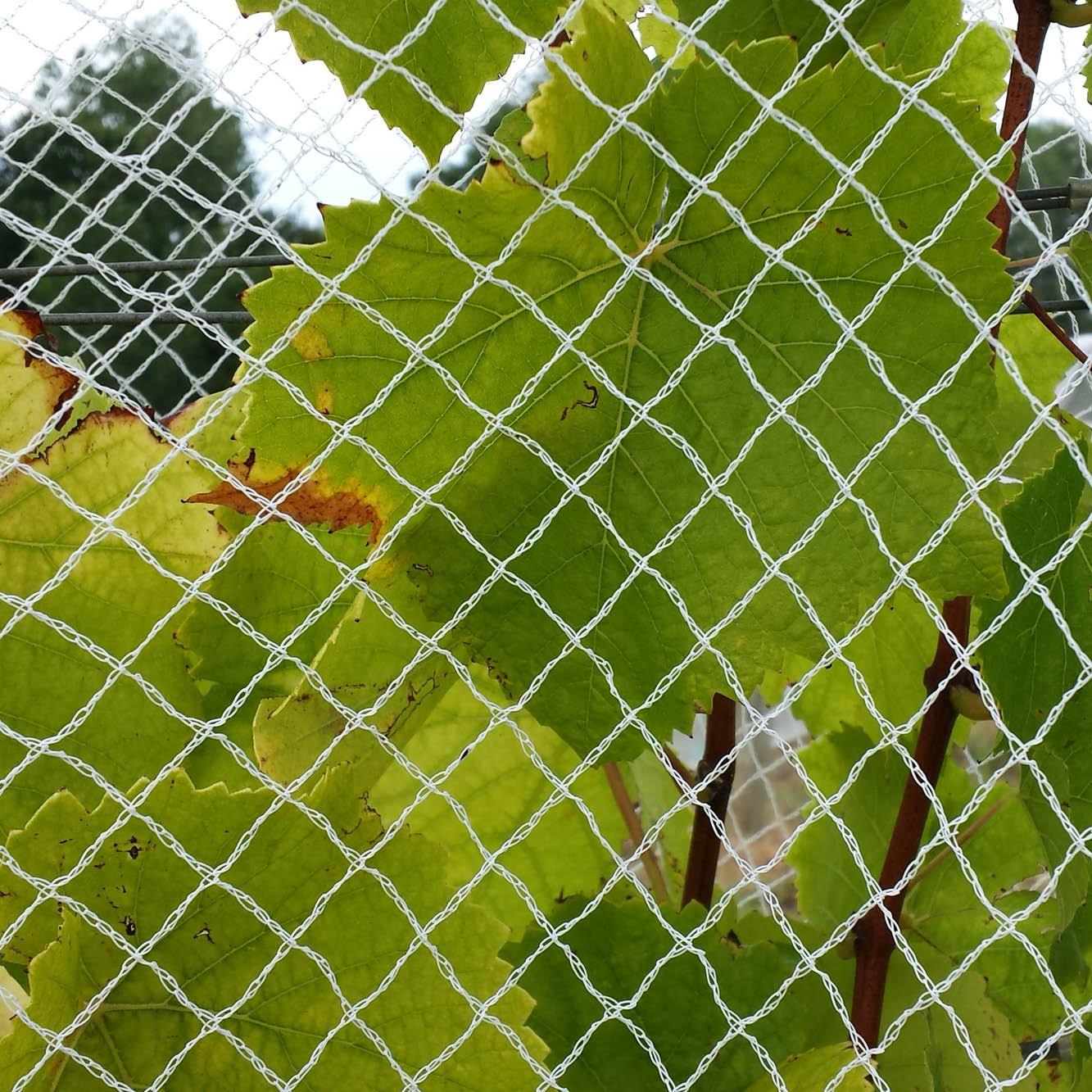 Ultravine Netting 6.5m x 300m roll - wintergardenz.co.nz