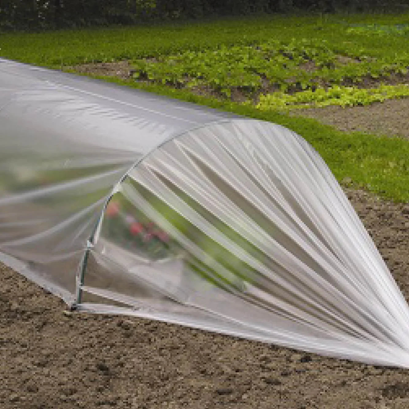Cloche Film/Row Covers 500m long - wintergardenz.co.nz