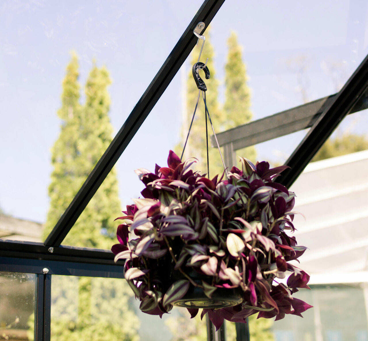 Hanging Brackets / Crop Clips
