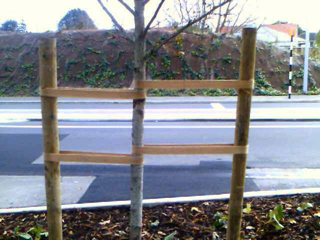 Jute Tree Tie Webbing - 50mm x 33m