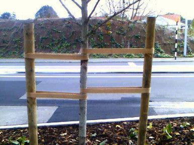Jute Tree Tie Webbing - 50mm x 33m