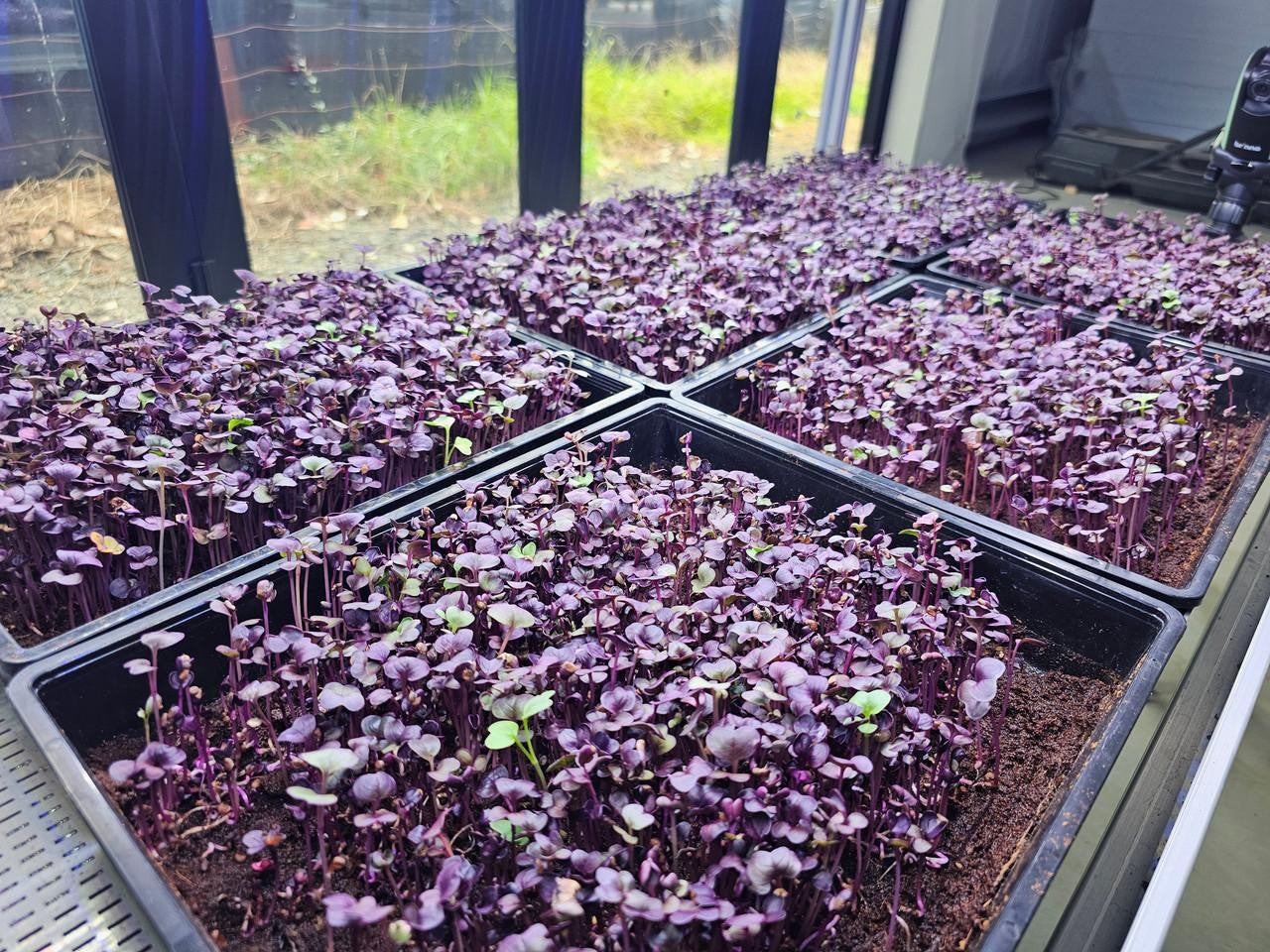 microFARMS Ultra