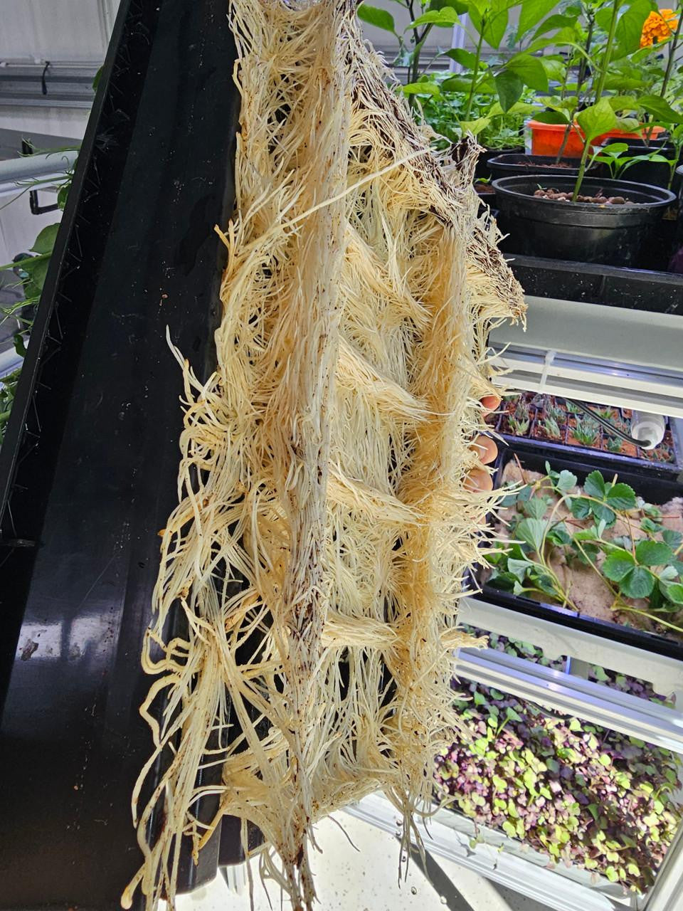 microFARMS Ultra
