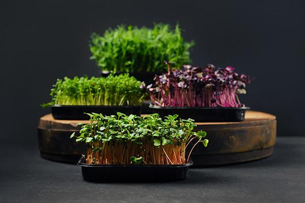 microFARMS Ultra