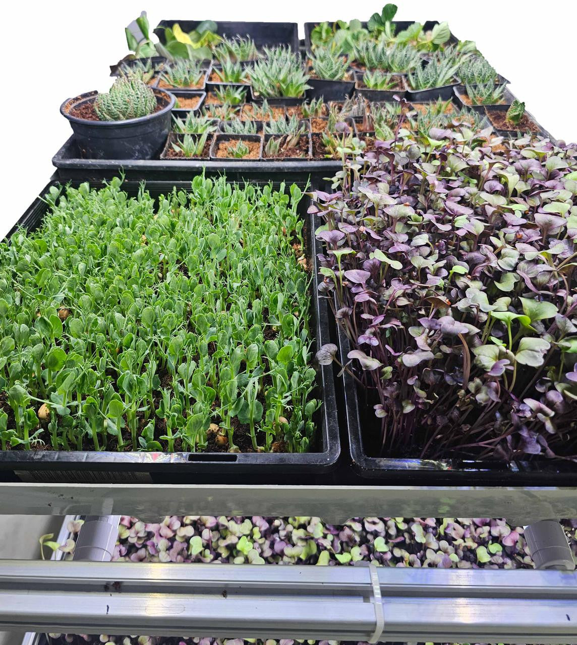 microFARMS Ultra