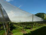 Ultra-pro Quad Netting 16m, 18m and 20m wide, 200m long roll