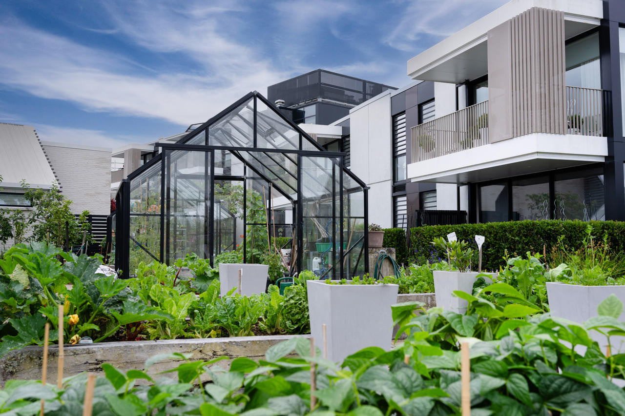Winter Gardenz 10x10ft (3.2x3.2m) Glasshouse 4mm Toughened Glass