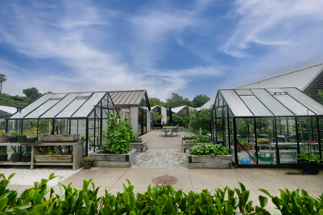 Winter Gardenz 10x10ft (3.2x3.2m) Glasshouse 4mm Toughened Glass