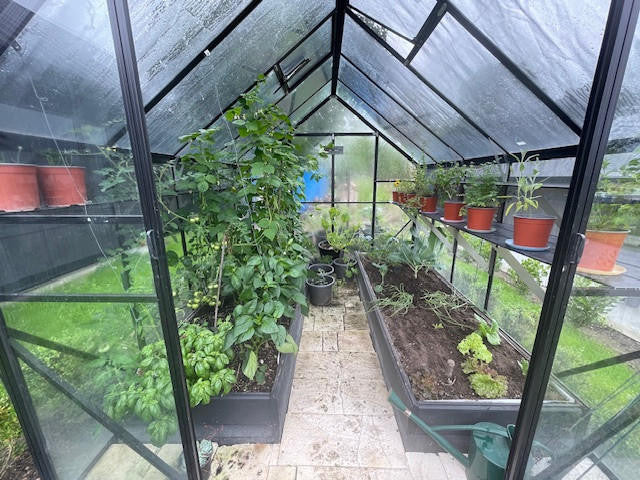 Winter Gardenz 8x10ft (2.6x3.2m) Glasshouse 4mm Toughened Glass