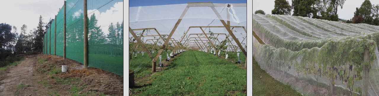Green insect netting on wooden frames protecting crops in agricultural fields under clear sky