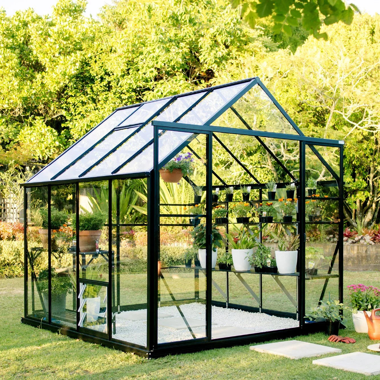 Modern glass greenhouse with black frame housing potted plants and flowers in sunny garden