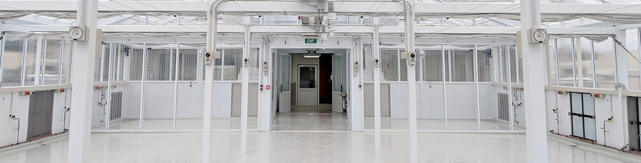 Quarantine + Research