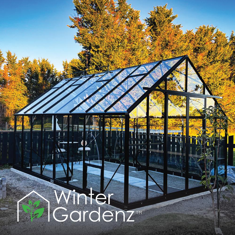 10x16ft (3.2x5.1m) Glasshouse 4mm Toughened Glass