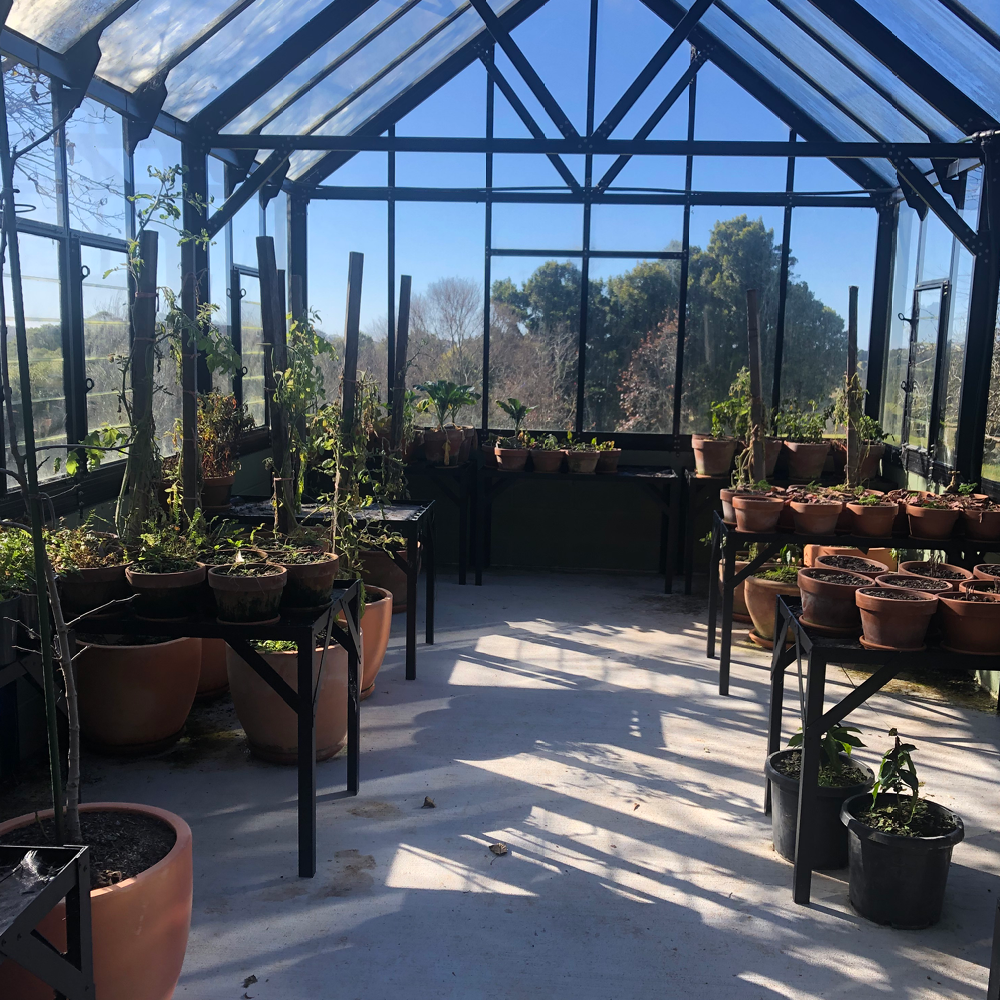 12x20ft (3.8x6.4m) Elite Glasshouse