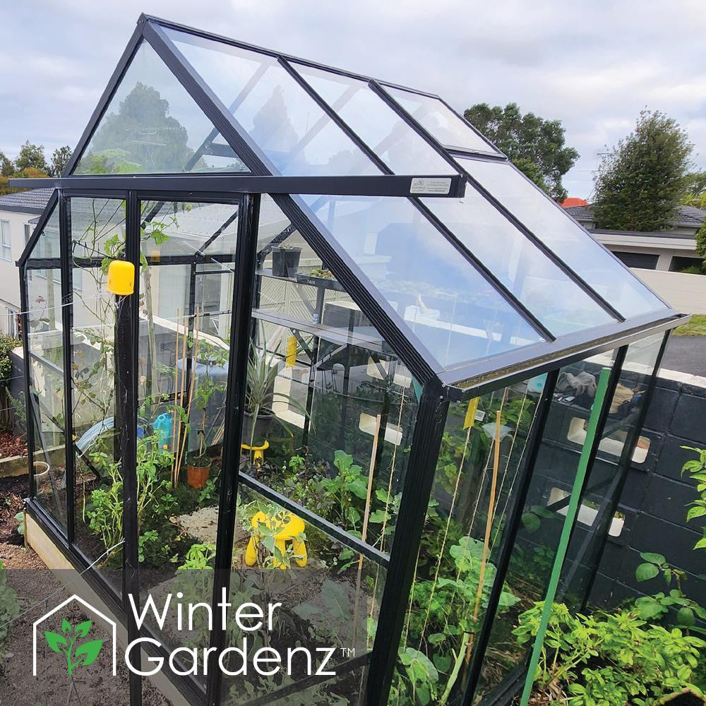  8x6ft (2.6x2m) Glasshouse 4mm Toughened Glass 