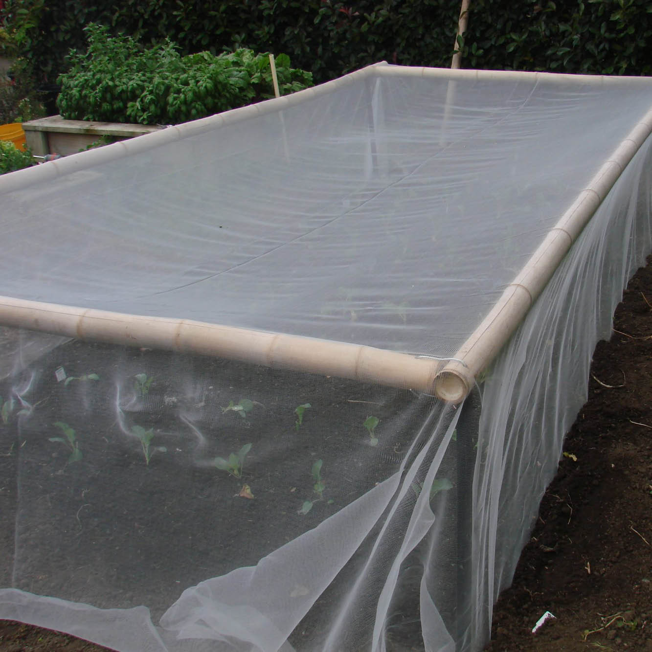 Bugnet - 4m x 30m roll (folded)