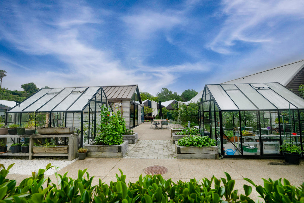 Metlifecare Gulf Rise | Retirement Village | Kitset Glasshouse