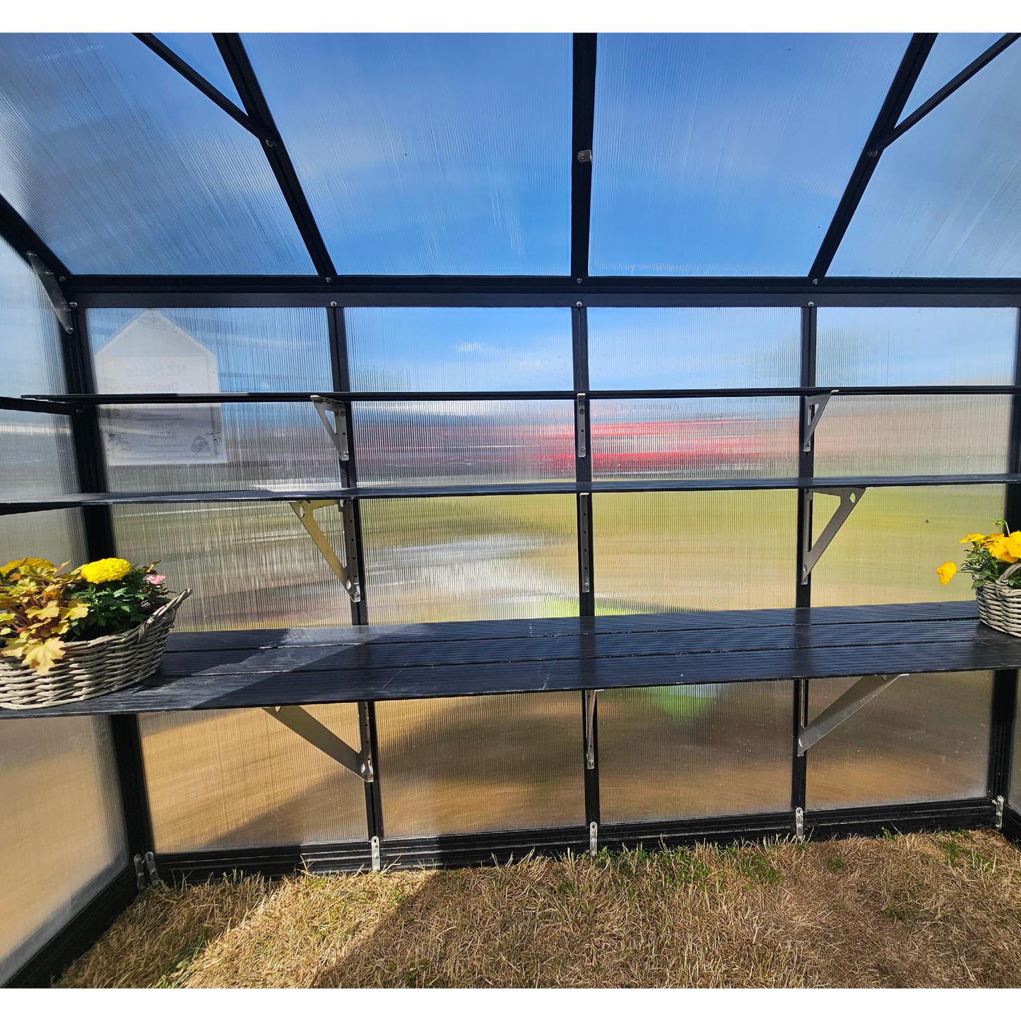 Single-Tier Shelving price per shelf