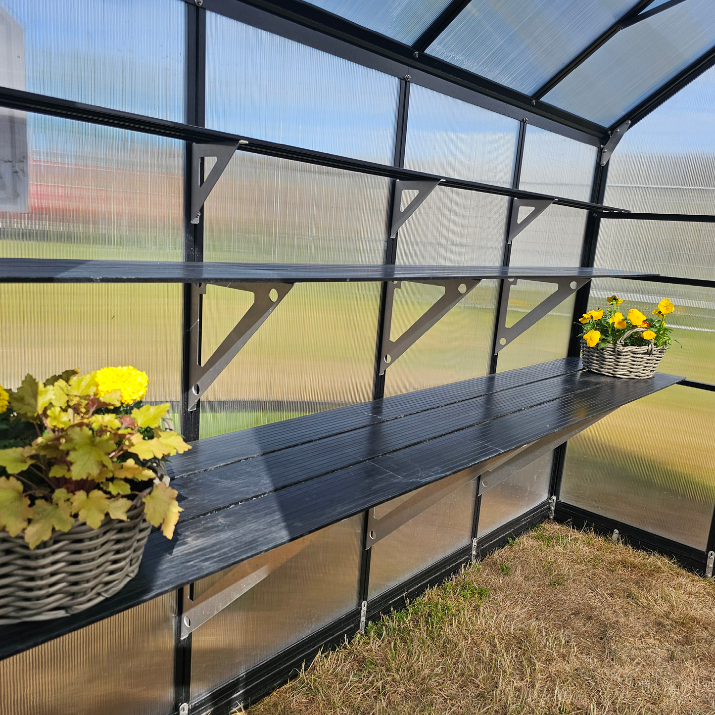 Single-Tier Shelving price per shelf