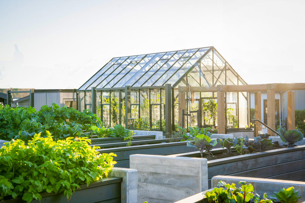 The Botanic in Silverdale | Retirement Village | Kitset Architectural Series