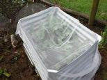 Bugnet - 4m x 30m roll folded
