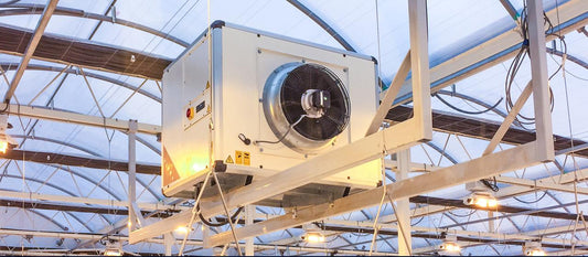Dehumidification Fans