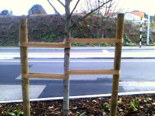 Jute Tree Tie Webbing - 50mm x 33m