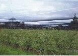 Ultra-pro Canopy Netting - Bee Friendly